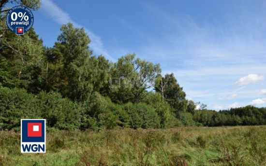 Działka budowlana na sprzedaż Wodnica